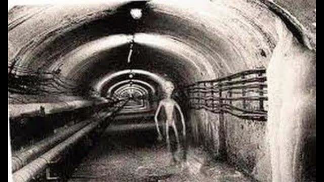 Phil Schneider - The last Words