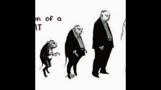 Zionist Editing of Wikipedia