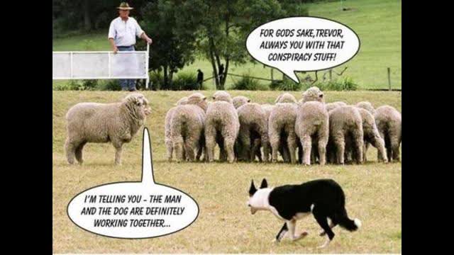 The queen and your strawman thought up just for you by the Jew.