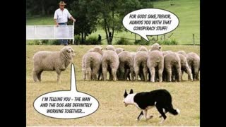 The queen and your strawman thought up just for you by the Jew.