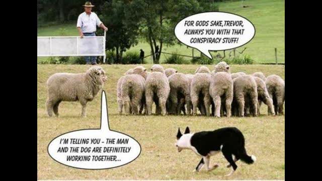 The Jews became pirates to destroy Spain because they weren't allowed to ruin Spain