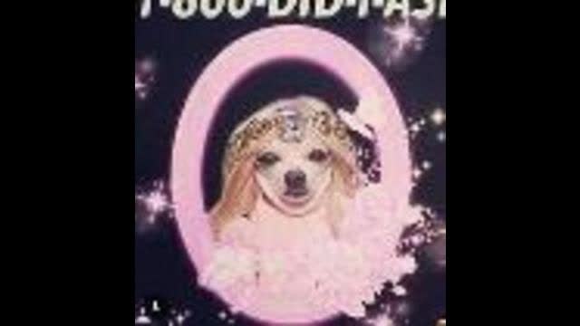 wife made a tiktok for my birthday