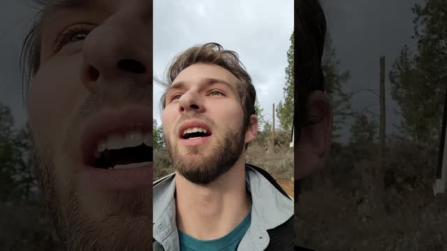 free crypto lambpi crypto $lamp pink lamb