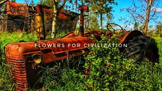 Flowers for civilization, South Africa is America plus 20 years