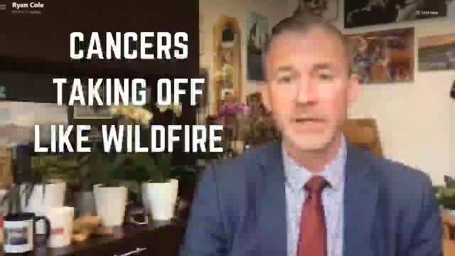 "Cancers Taking Off Like Wildfire" - No Foe, No Opposition, Growing Very, Very Quickly