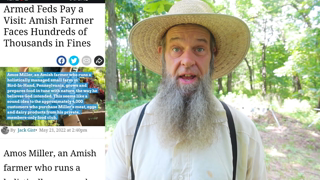 U S Marshalls raid AMISH over FOOD! Small homesteads next?