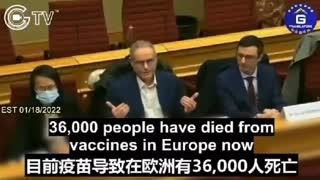 36,000 people have died from vaccines in Europe now...
