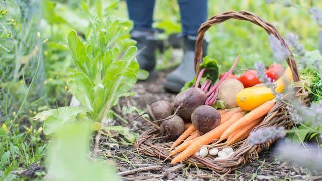 Localism Or The Digital Gulag?