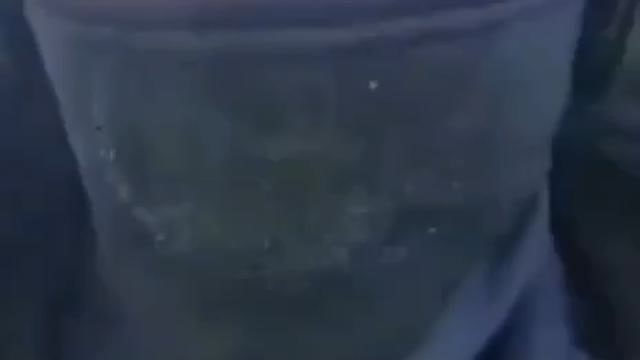 ZOGBOTS - They might look human, but they have no soul