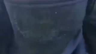 ZOGBOTS - They might look human, but they have no soul