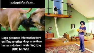 Stand Up For Freedom Now Or Your Children Will Never Know It