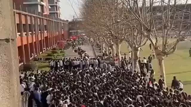 Millions of people in Shanghai have to participate in mandatory daily COVID testing