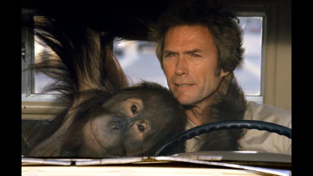 Any Which Way You Can (1980)