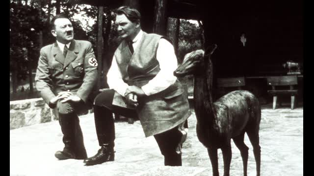 The Fuhrer : Death by democracy