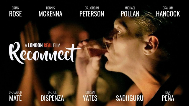 DMT Spirit Molecule: Spiritual Disintegration to Integration