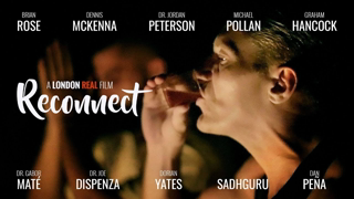 DMT Spirit Molecule: Spiritual Disintegration to Integration