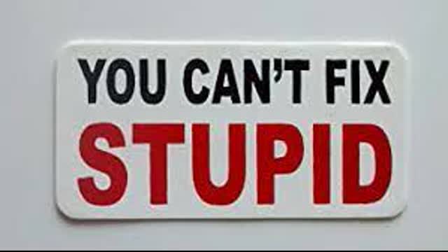 You Can't Fix Stupid