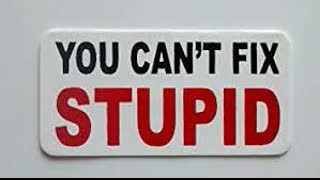 You Can't Fix Stupid