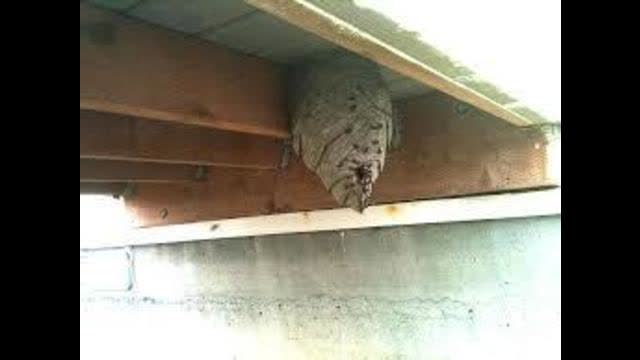 how to beat Antifa's tactics, this is a thought exercise, do not attack people you can go to prison