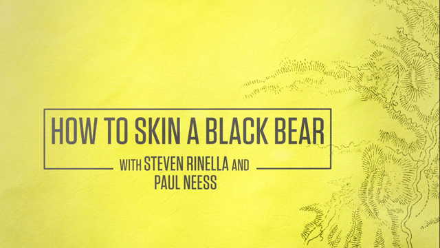 How to Skin a Black Bear with Steven Rinella and Paul Neess
