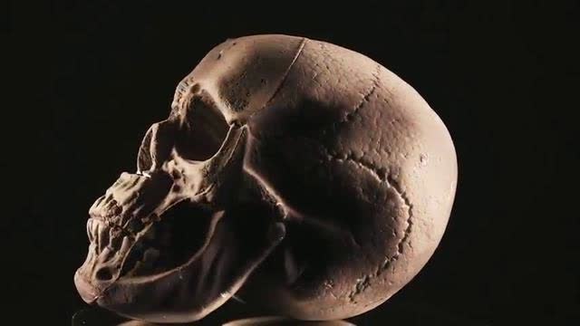 (>19 JUNE, 2021) 'REPORTED' DEATH & INJURY DATA FOLLOWING COVID-19 INJECTIONS, FOR EUROPE, UK & U.S.