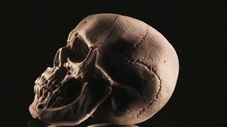 (>19 JUNE, 2021) 'REPORTED' DEATH & INJURY DATA FOLLOWING COVID-19 INJECTIONS, FOR EUROPE, UK & U.S.