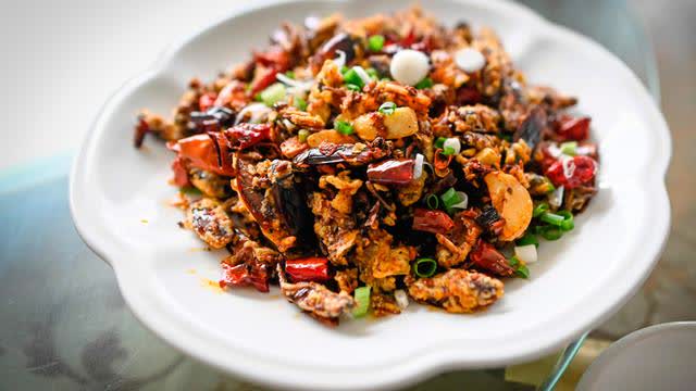 Holohoax Tales Cockroach and Human Soup