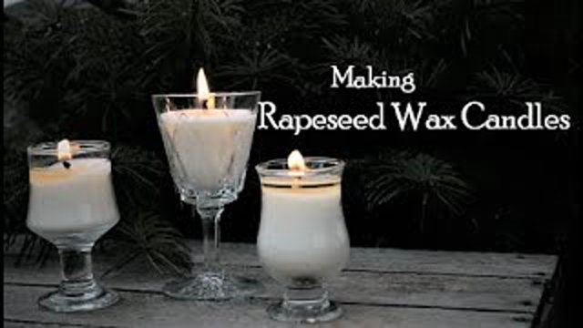 Making Rapeseed Wax Candles