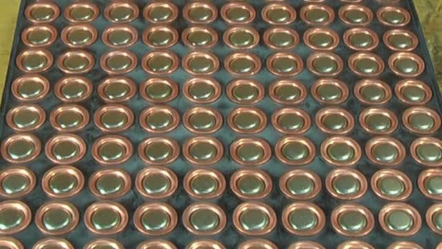 Primers What You Need to Know in HD