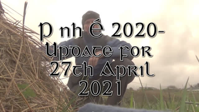 Statement on behalf of Irelandâ€™s defence forces (.i. Ã“glaigh na hÃ‰ireann)