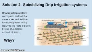 Production of Khat in Yemen