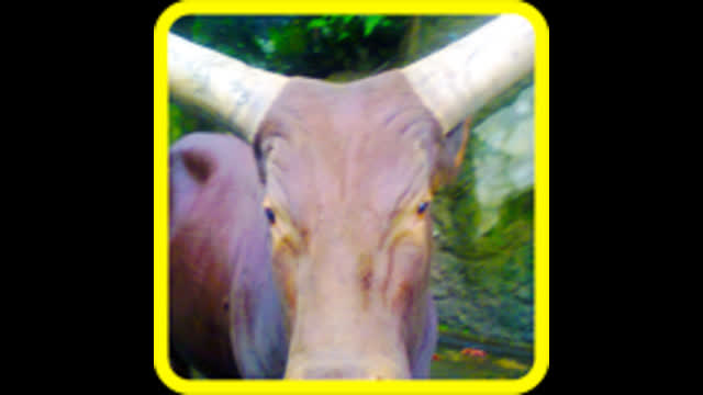 Indonesia: Murder By Needle