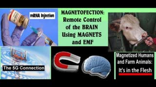 Magnetofection: Remote Control of Brain with mRNA Injection + Magnetized Meat & 5G Connection
