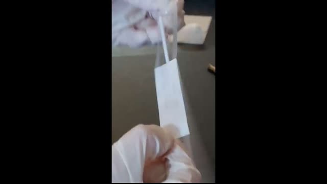 PCR TEST ON A PIG'S BRAIN