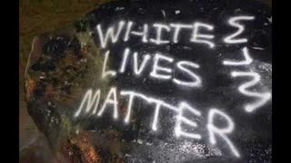 Police vs. Activists