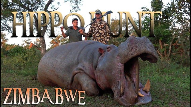 Hunting Hippo in Zimbabwe