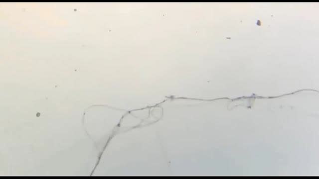 SIGNS HAVE HAPPENED IN SUN MOON AND STARS