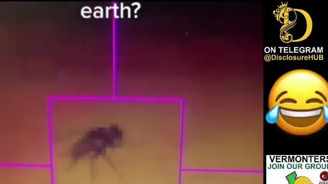 A fly on Mars? That must have been quite the journey