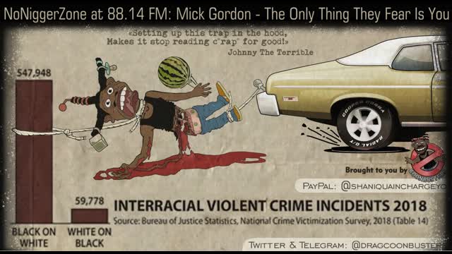 NONIGGERZONE Radio at 88.14 FM: Interracial crime or... - niggers at work