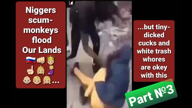 Niggers scum-monkeys flood Our Lands. Part #3
