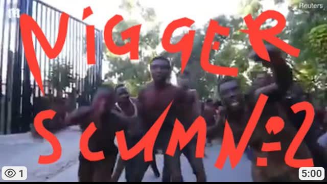 niggers scum flooding My Lands. But tiny-dicked cucks are okey with it. Part#2