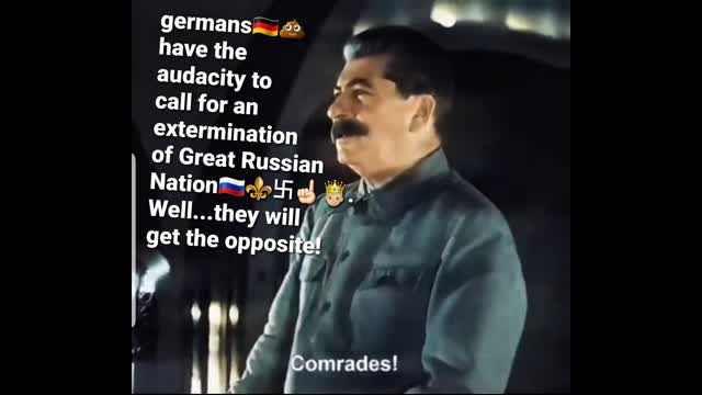 Joseph Nikolayevich Stalin on germans and other european pro-hittler alliance
