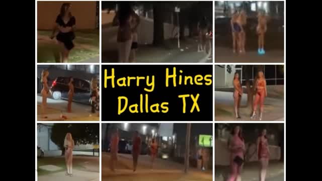 99% of blond girls of the US in their 17-22 y.o stand along the road to give their holes away to nig