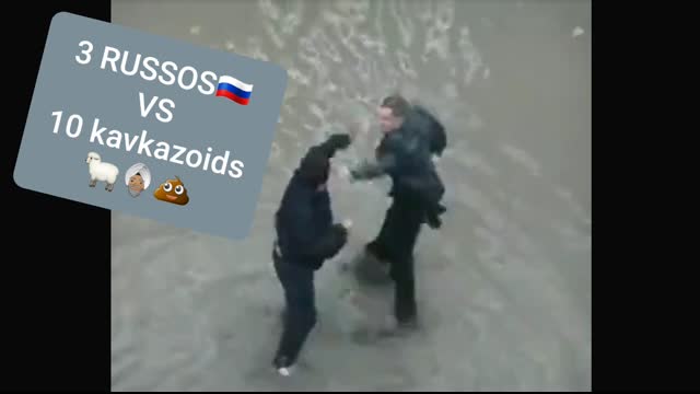 3 RUSSOS Versus 10 kavkazoids and asian sub-breeds