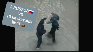 3 RUSSOS Versus 10 kavkazoids and asian sub-breeds