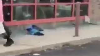 Paid provocateur/ANTIFA runs when confronted