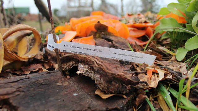 Why is Permaculture Paganism?