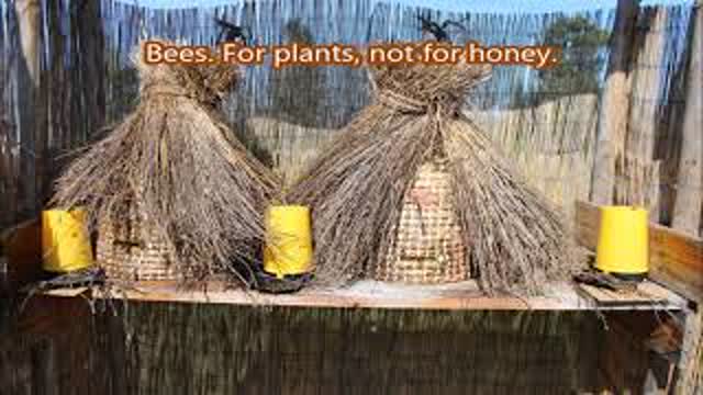 A Simpler Life IN PRACTICE (Part 1) - 2018-04-18