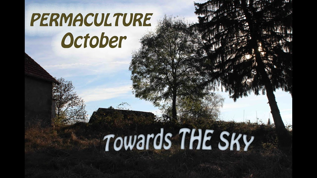 PERMACULTURE - October - TOWARDS THE SKY! (and one real marshmallow recipe)