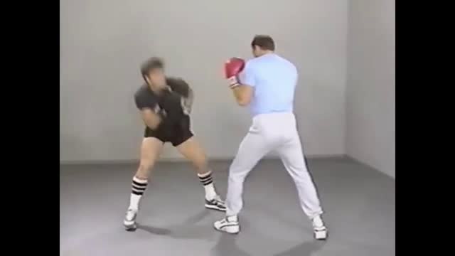 JKD Fundamentals - Paul Vunak (DVD 1)